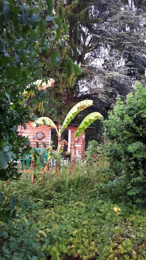Le Jardin des Merveilles Saint-Pierre-d'Autils Extérieur photo
